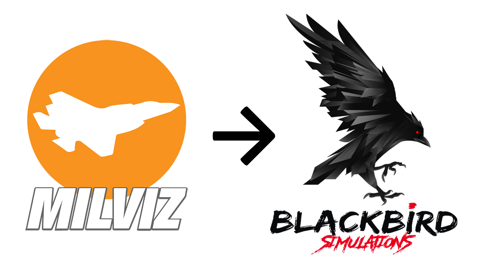 Blackbird Simulations